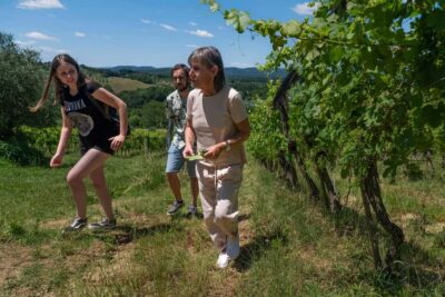 Siena: Organic Winery Tour and Wine Tasting - Getting to La Lastra: close to Siena, but plan for a cab