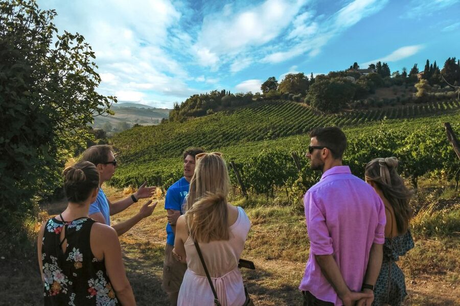 Siena: Organic Winery Tour and Wine Tasting - Food pairing in the afternoon meal: seasonal Tuscan plates