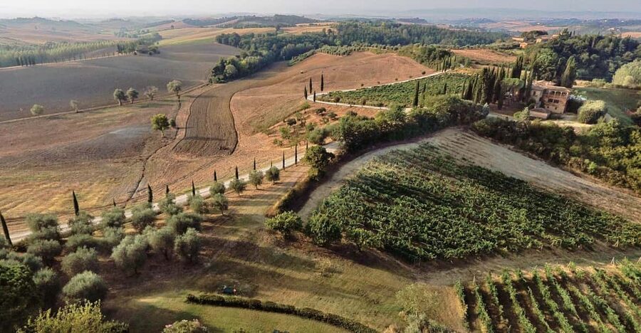 Siena: Winery tour/tasting with owner/maker of awarded wines - Tenuta Larnianone: a small estate with a big personal touch