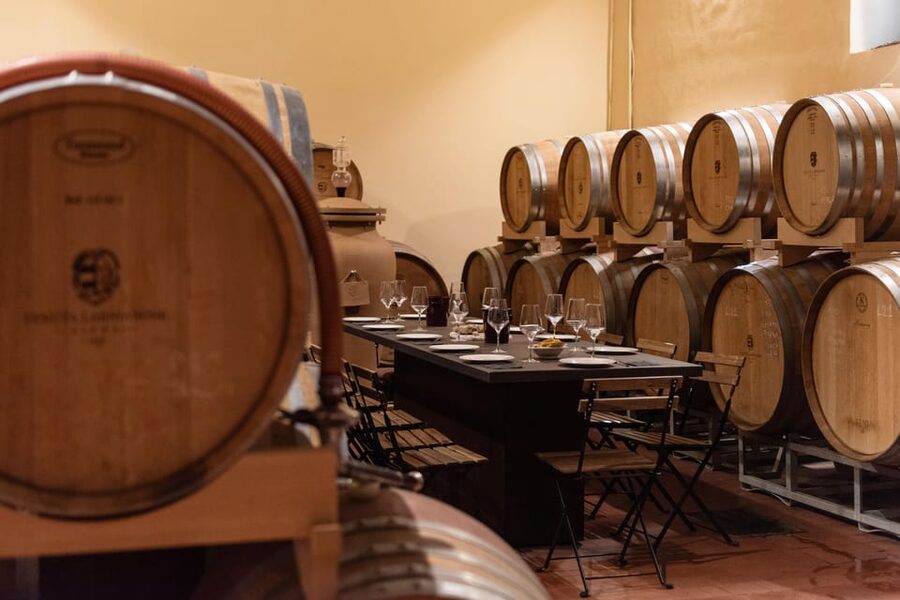 Siena: Winery tour/tasting with owner/maker of awarded wines - Vineyard walk and Pliocene seashell terroir near Siena