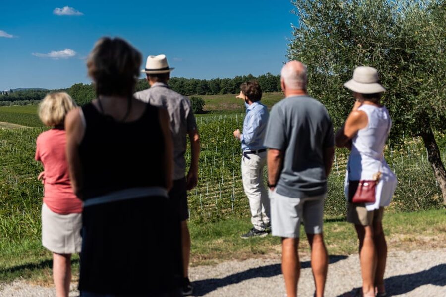 Siena: Winery tour/tasting with owner/maker of awarded wines - The tasting: four awarded single-vineyard wines plus pecorino