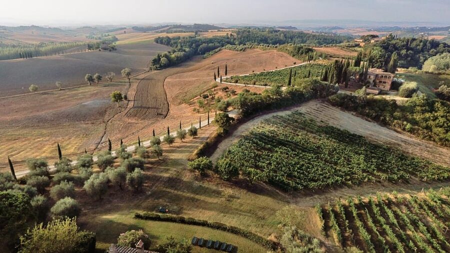 Siena: Winery tour/tasting with owner/maker of awarded wines - Who should book this Siena winemaker tasting (and who might not)