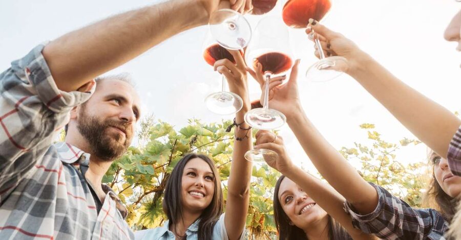 Silves: Algarvian Winery Tour and Tasting Experience - Key highlights worth showing up for