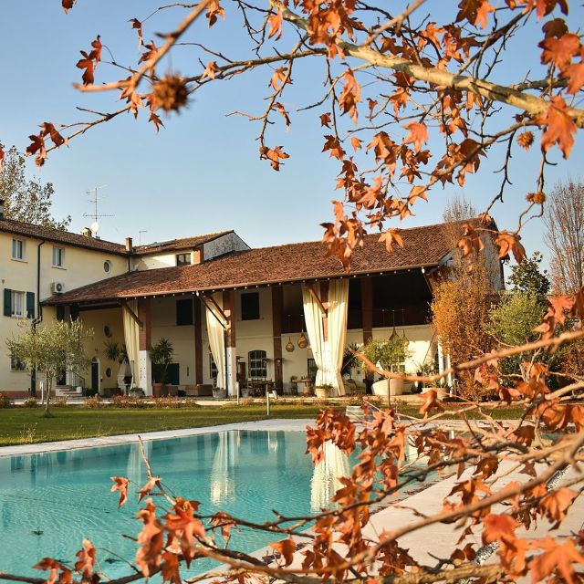 Sirmione: Vineyard Tour with Lugana Wines and Local Tastings - Cellar tour: musts, timing, and local clays