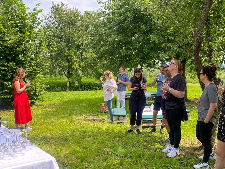 Sirmione: Vineyard Tour with Lugana Wines and Local Tastings - What the whole experience feels like: small group energy and real conversation