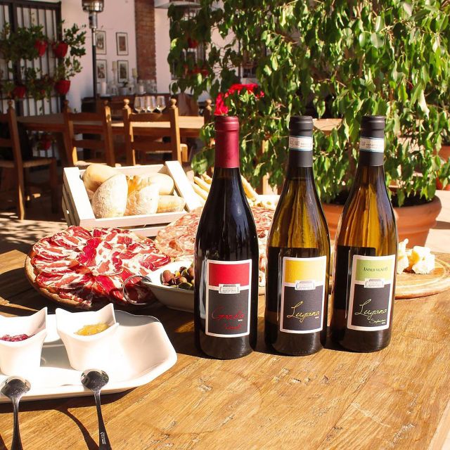 Sirmione: Vineyard Tour with Lugana Wines and Local Tastings - Getting there from Sirmione: easy by car or taxi, minimal hassle