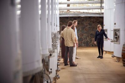 Sirromet Winery Tour and Taste and 2 Course Lunch - The Tasting: What You Learn from 6 Granite Belt Wines