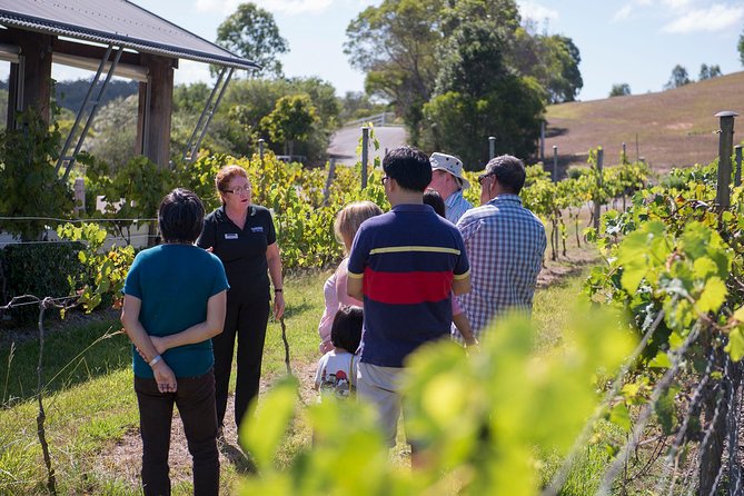 Sirromet Winery Tour and Wine Tasting - Key highlights worth marking on your day