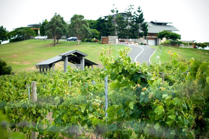 Sirromet Winery Tour and Wine Tasting - The wine lineup: reds, whites, sparkling, and how to choose favorites