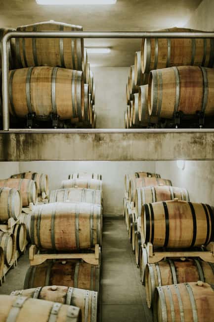 Šišan: Wine Tasting: Organic Wines of Southern Istria - Duration, pacing, and what the 90 minutes feels like