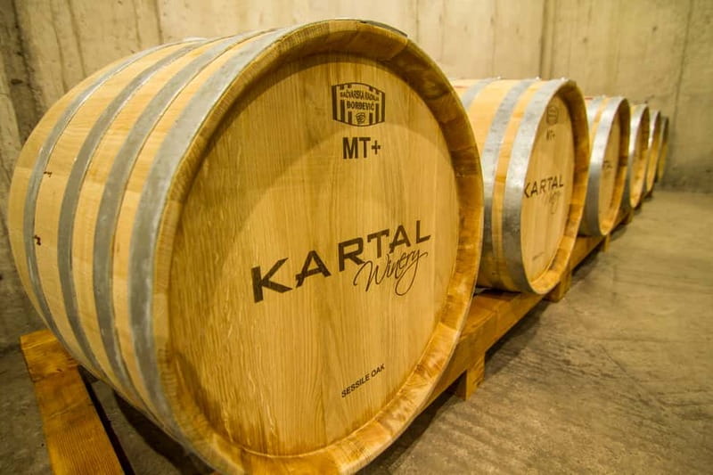 Skopje: Kartal Winery Tour - The wines you’ll taste (and what to pay attention to)