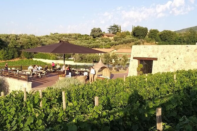 Small-Group Exclusive Winery and Wine Tasting Tour in Frascati - Key Things That Make This Frascati Wine Tour Worth Your Time