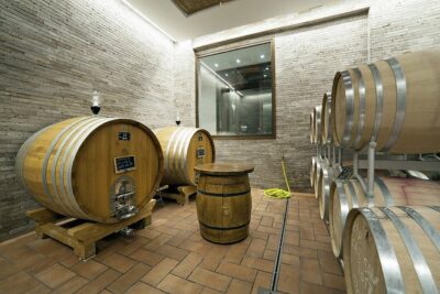 Small-Group Exclusive Winery and Wine Tasting Tour in Frascati - The Terrace View Isn’t Just Pretty—It Explains the Wines