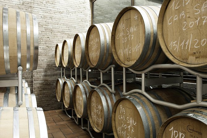 Small-Group Exclusive Winery and Wine Tasting Tour in Frascati - The Tasting: Four Wines, Paired, and Served in a Sensible Order