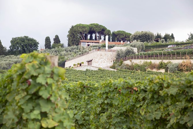 Small-Group Exclusive Winery and Wine Tasting Tour in Frascati - Price and Value: Why $65.22 Can Make Sense for Wine in the Hills