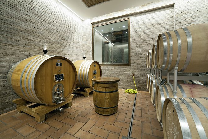 Small-Group Exclusive Winery and Wine Tasting Tour in Frascati - The Terrace View Isn’t Just Pretty—It Explains the Wines