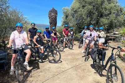 Small Group Guided E-Bike Tour in Nice’s Organic Vineyard - Bellet sightseeing stops: short time, useful context