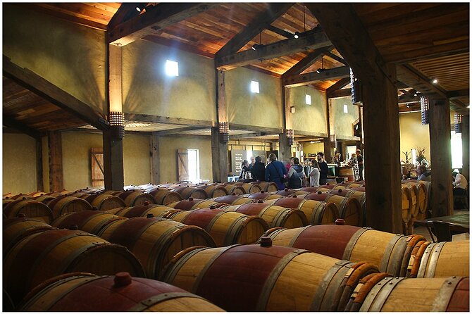 Small Group - Half-Day Hawke's Bay Winery Tour - Who should book this Hawke’s Bay half-day tour