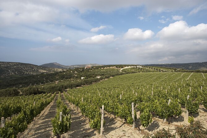 Small Group: Knossos, Olive Oil, Winery & Raki with Lunch - Knossos: the Minoan palace you can’t really skip