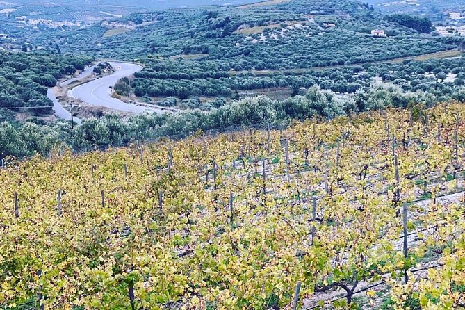 Small Group: Knossos, Olive Oil, Winery & Raki with Lunch - Who should book this tour, and who might skip it