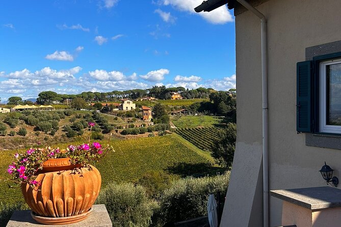 Small Group Minardi Winery Tour - Lunch at the farmhouse: where the value really shows up