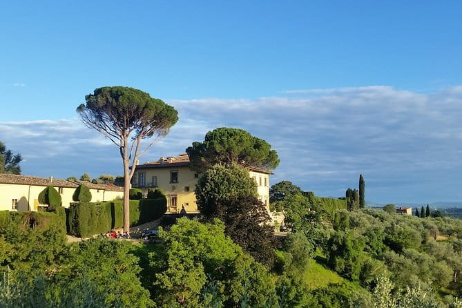 Small Group Wine Tasting in Tuscany with Vineyard Visit - Price and value: what you’re really paying for
