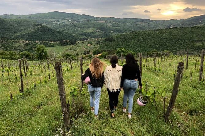 Small Group Wine Tasting in Tuscany with Vineyard Visit - Fattoria San Pancrazio: vineyards, grapes, and a cellar you can picture
