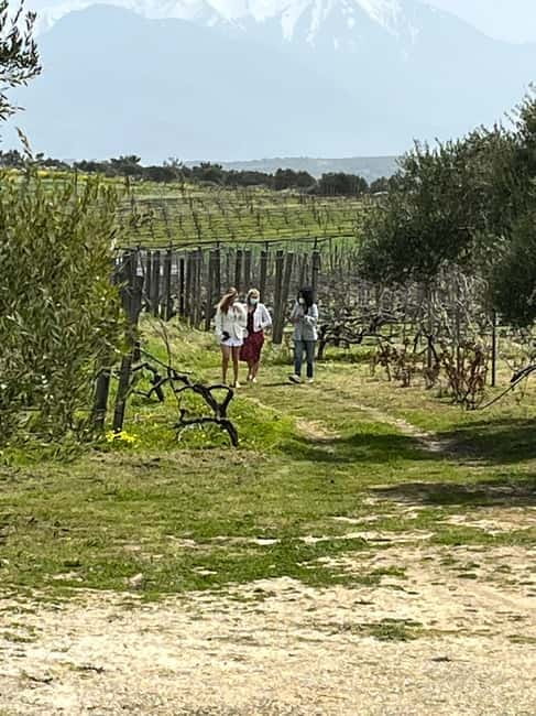Soap Workshop, Olive Oil, Lyrarakis Winery and Lunch at Peza - Olive mill tour and extra virgin tasting: how Cretan oil gets explained