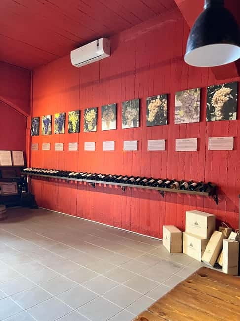 Soap Workshop, Olive Oil, Lyrarakis Winery and Lunch at Peza - Timing, transfers, and the 7-hour feel: where the day can compress