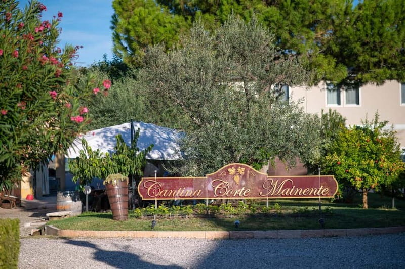 Soave: Wine Tasting and Vineyard Tour in Historical Centre - The tasting lineup: Brut bubbles, organic vintage, and aged Classico