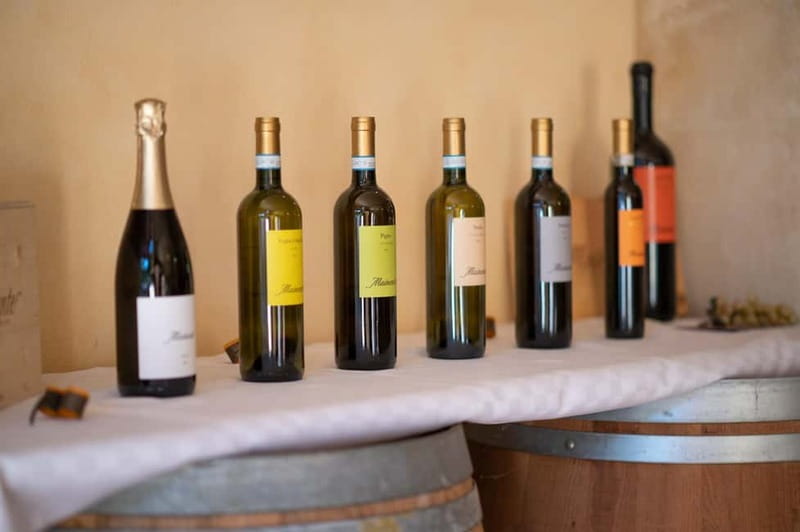 Soave: Wine Tasting and Vineyard Tour in Historical Centre - The food pairing: cured meats, cheeses, and baked bites