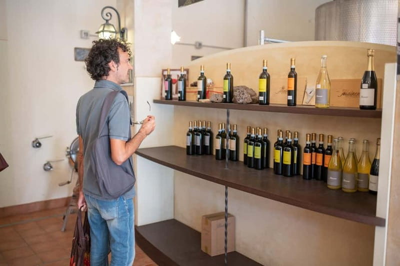 Soave: Wine Tasting and Vineyard Tour in Historical Centre - Who this tour fits best (and who should pick something else)