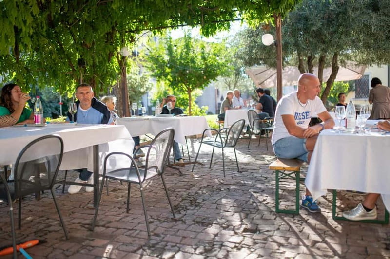 Soave: Wine Tasting and Vineyard Tour in Historical Centre - Timing, meeting point, and what to bring