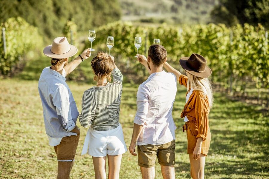 Sonoma Valley: Guided Winery Tour with Picnic Lunch - Three Smaller Wineries Instead of a Production-Line Route