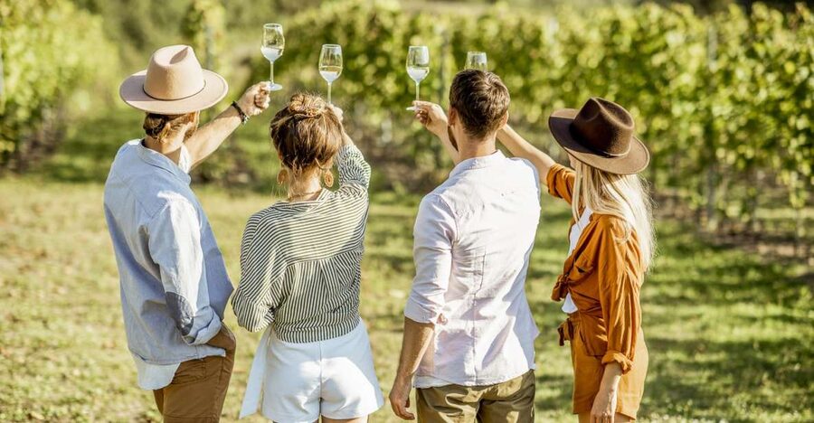 Sonoma Valley: Guided Winery Tour with Picnic Lunch - The Picnic Lunch at the Winery: A Small Detail That Makes the Day Feel Planned