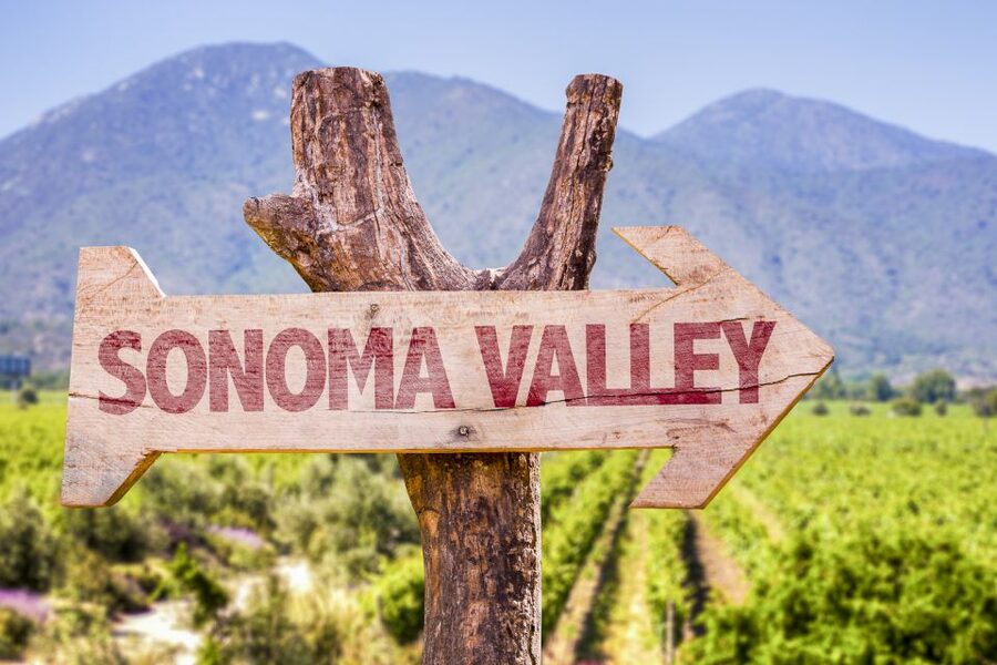 Sonoma Valley: Guided Winery Tour with Picnic Lunch - Price and Logistics: How $147 Can Be a Bargain or a Headache
