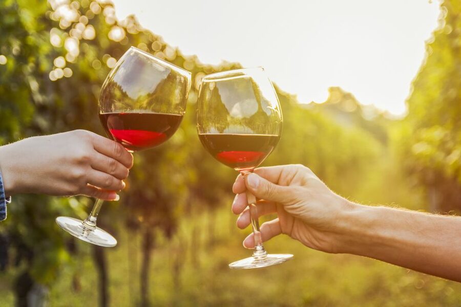 Sonoma Valley: Guided Winery Tour with Picnic Lunch - Should You Book This Sonoma Valley Guided Winery Tour?