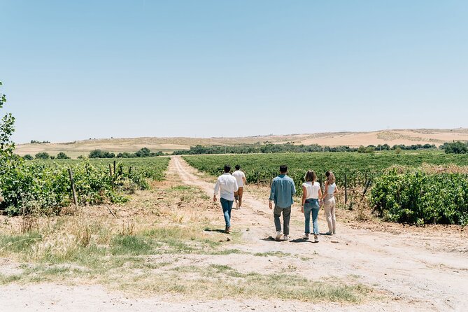 Spanish Villages & Winery Visit with Wine Tasting and Tapas Lunch - Tapas lunch and wine tasting: what’s included and what to expect