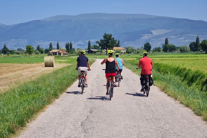 Spello E-Bike & Wine Tour with Scenic Winery Lunch - Key highlights worth your attention