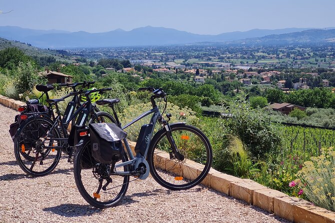 Spello E-Bike & Wine Tour with Scenic Winery Lunch - Starting in Torre del Colle: bike fit, route briefing, and the right kind of nerves