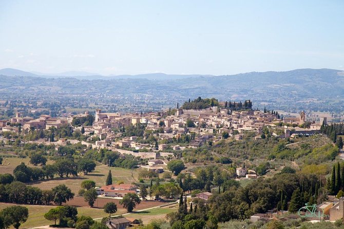 Spello E-Bike & Wine Tour with Scenic Winery Lunch - Should you book this Spello E-Bike & Wine Tour?