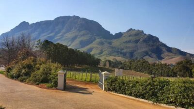 Stellenbosch: Guided Vineyard Hike and Wine Tasting - Price and what you really get for $135