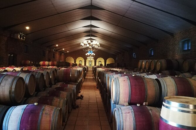 Stellenbosch Vineyard Walk & Wine Tasting - Who this tour is perfect for (and who should skip it)