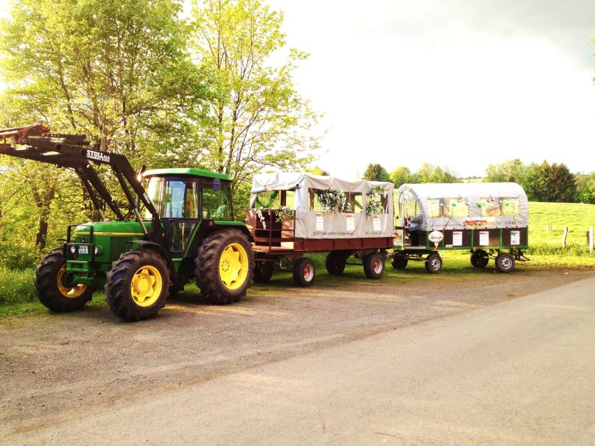 Stuttgart: Vineyard Tour by Covered Wagon - First impressions: what this “covered wagon” format does for you