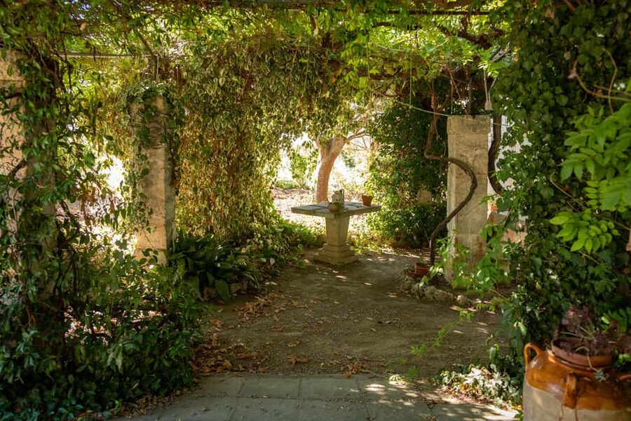 Sunset Escape in Lecce: Vineyard Picnic with Wine Tasting - Price and Value: Why $82 Can Make Sense Here