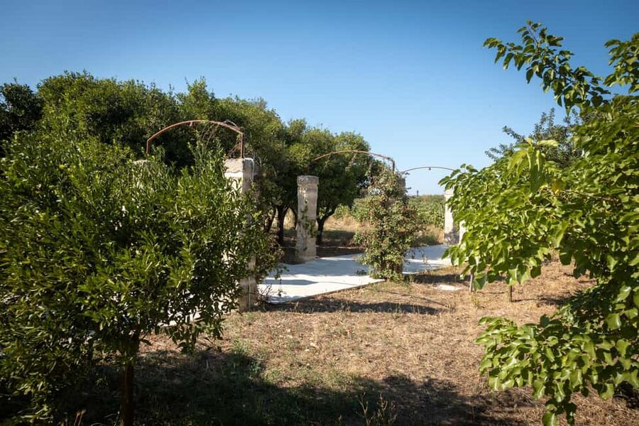 Sunset Escape in Lecce: Vineyard Picnic with Wine Tasting - Who Should Book This Sunset Escape (and Who Shouldn’t)