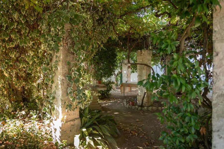 Sunset Escape in Lecce: Vineyard Picnic with Wine Tasting - Should You Book Sunset Escape in Lecce?