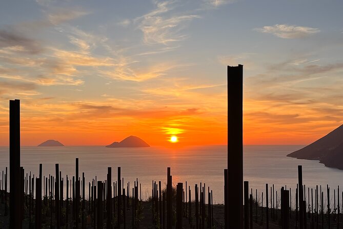Sunset picnic in the vineyard - Key highlights you’ll feel right away