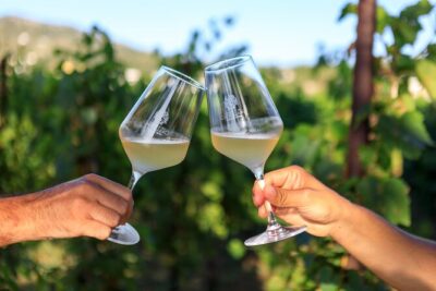 Sunset picnic in the vineyard - Your picnic basket: wine choices and Castellaro Bistrot bites
