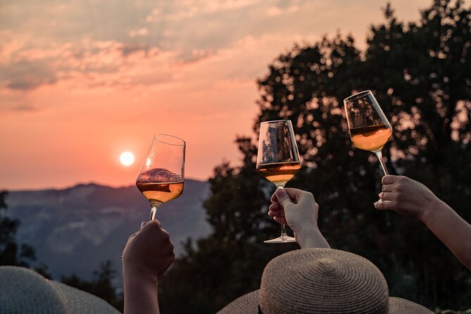 Sunset wine tasting in vineyard - Key highlights at a glance